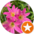 Thulashi Thula profile picture
