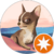 Baptiste D. profile picture