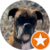 Sue H. profile picture