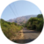 JP 7463 profile picture