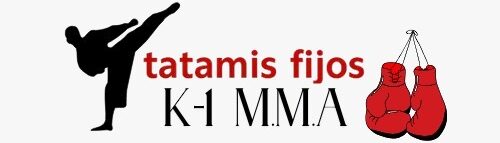 Tatami Fijo K1 MMA