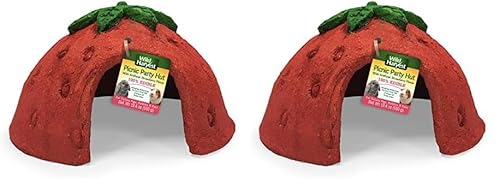 Can Birds Eat Strawberries
