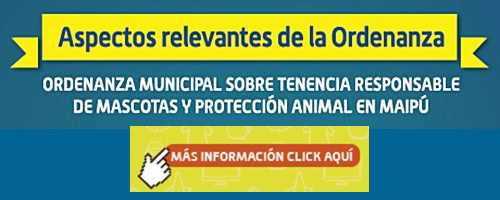 ORDENANZA1 Tenencia responsable de animales en Maipu