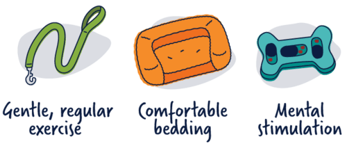 Senior Health Support