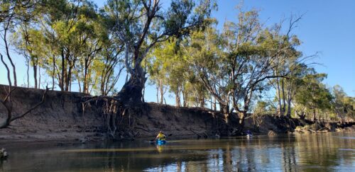 Murray River Kayaking