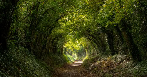nature image courtesy https://oecd-environment-focus.blog