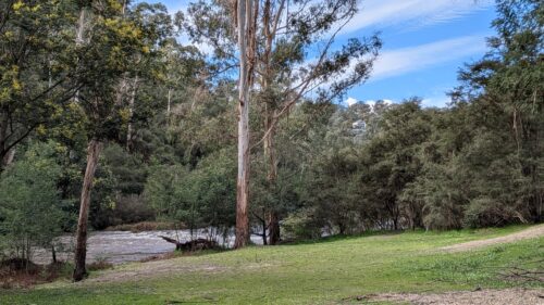 Grassy area beside the Yarra River along the Mount Lofty walking track.