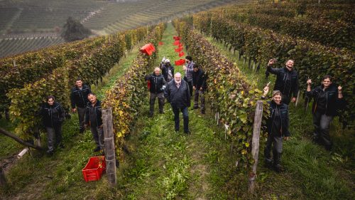 Squadra in vigna