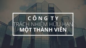 Công ty TNHH một thành viên là gì?
