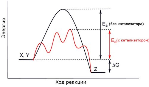 Разница между Катализатором и Ингибитором 1 График, показывающий, как катализатор снижает энергию активации реакции