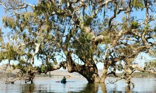 Kayaking on Lake Eildon, Bonnie Doon