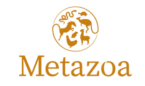 Métazoaires