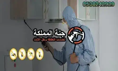 ارخص شركة مكافحة حشرات بالرياض