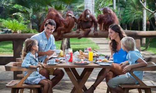 バリズー(バリ動物園）