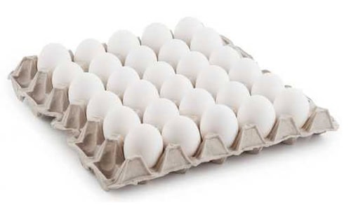 White White Eggs