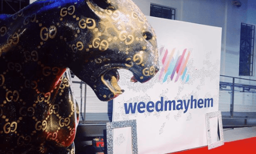 2019-07-15-10_43_56-Window