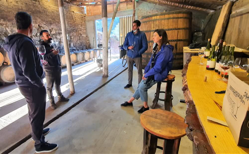 Sommelier led wine tasting in Itata