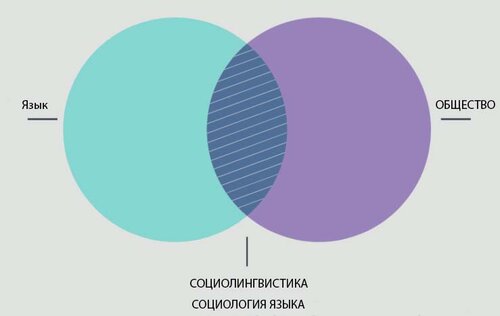 Отношения между обществом, языком, социолингвистикой и социологией языка