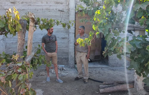 Exploring the vines with bottle in hand