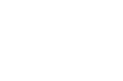 Automotive icon in white