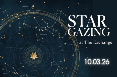 stargazing in The Exchange Park