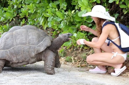 Feeding time and there is no dress code!