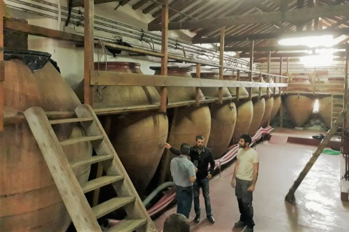 A recent visit to the Jesus Diaz winery from Madrid