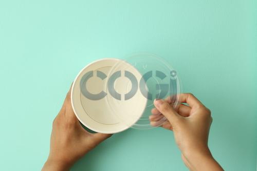 Tô giấy bát giấy