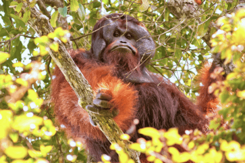 Screen Shot 2016-06-01 at 2.15.40 PM