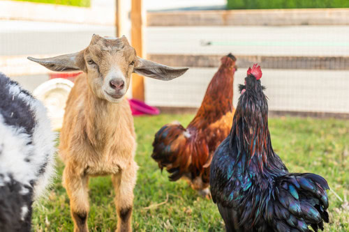 AAA_Community Event_Photo5110