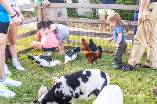 AAA_Community Event_Photo5254