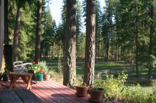 view from back deck of the guesthouse