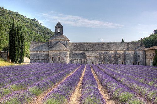 Abbaye de Sénanque Provence