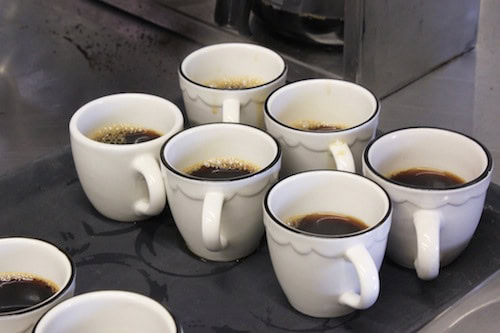 small world coffee, princeton nj