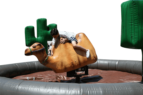 Camel Ride rental for events in Los Angeles, Orange County, and nationwide