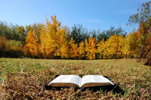 Self Improvement Habits That Stick 4 Years, One Honest Guide
