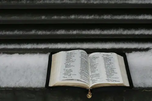 Why God Allows Pain and How to Find Purpose in It