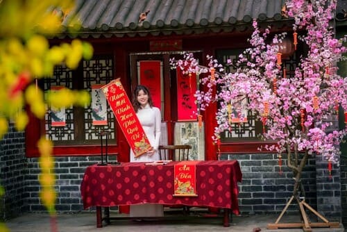 Cô gái với câu đối Tết cổ truyền – Photo by Phát Trương from Pexels bao-nhieu-ngay-nua-den-tet