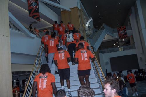 2024-Taste-of-Bengals186