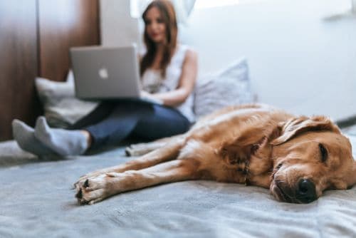 work remotely in germany