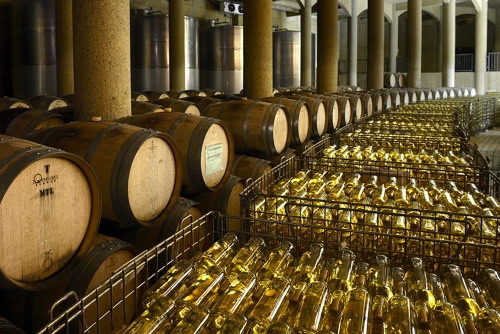 Style and function in equal measure in the cellar at Haras de Pirque