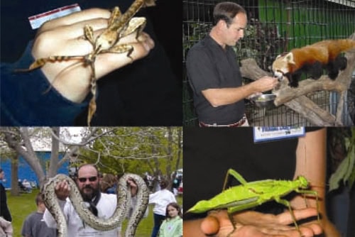 Exotic Petting Zoo rental for events in Los Angeles, Orange County, and nationwide