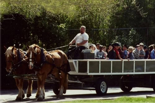 Hay Rides rental for events in Los Angeles, Orange County, and nationwide
