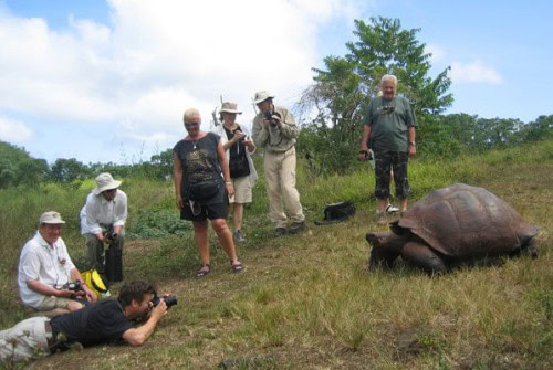 There are hundreds of these ancient beasts on the Galapagos Islands