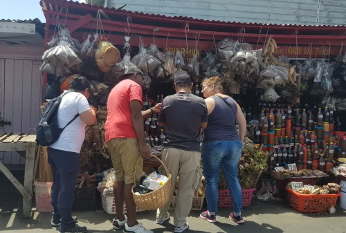 Chef choosing his ingredients in Georgetown markets