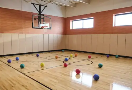 Modern indoor basketball half court with hardwood flooring, basketball hoop, padded walls, and colorful basketballs in a bright recreation facility in a luxury apartment gym in Raleigh