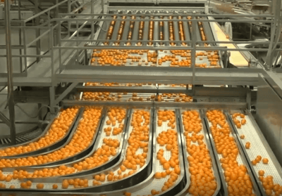 Is Your Conveyor Belt in Trouble? <br>Key Signs It Needs Maintenance