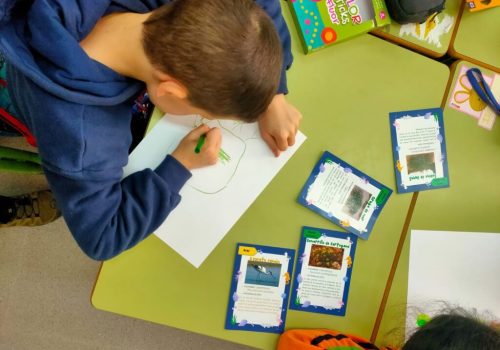 Más de 1.300 alumnos de la Región de Murcia participan en los talleres del Aula del Mar Menor para fomentar su conservación