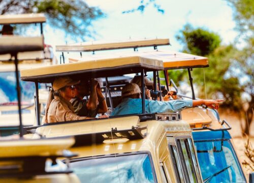 The best time to visit Tanzania