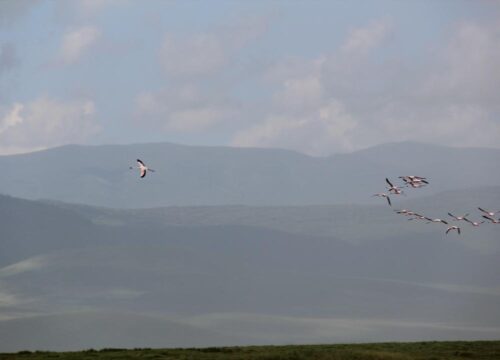 Ngorongoro Crater